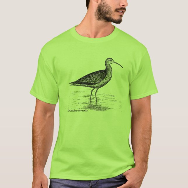 Eskimobrachvogel-T - Shirt (Vorderseite)