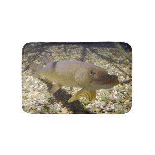 Esox lucius badematte