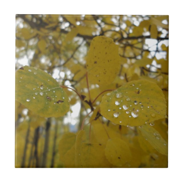 Espen-Blätter Fliese (Vorderseite)