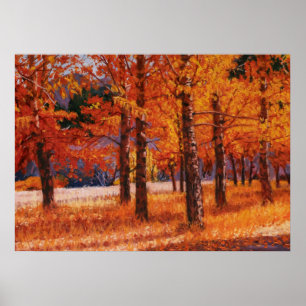 Espen in Colorado in herrlicher Herbstpracht Poster
