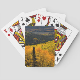 Espen (Populus Tremuloides) und Koniferen Spielkarten