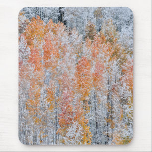 Espen & Schnee Rocky Mountains, Colorado Mousepad