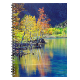 Espenbaum im Herbst, reflektierend im Grant Lake Notizblock