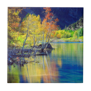 Espenbaum im Herbst, spiegelt sich im Grant Lake Fliese