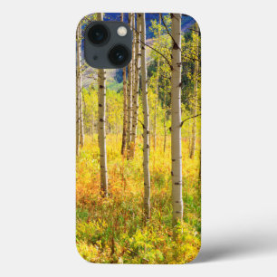 Espenbäume im Herbst in den Rocky Mountains iPhone 13 Hülle