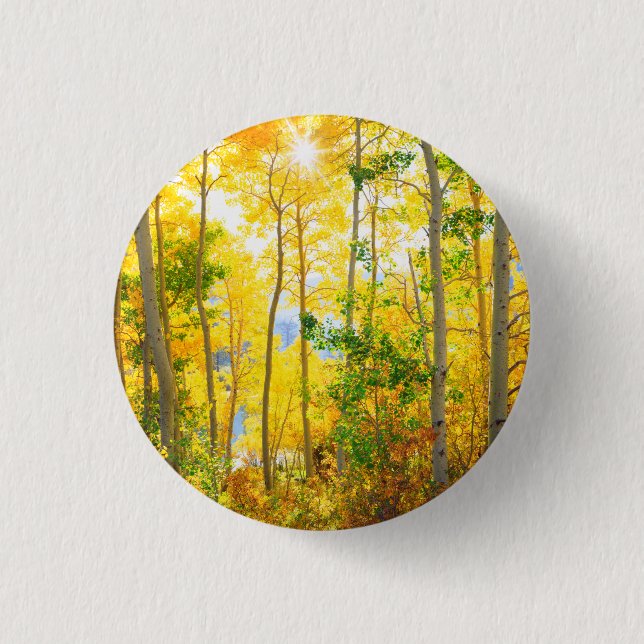 Espenbäume im Herbst | Sierra Nevada Berge, CA Button (Vorderseite)