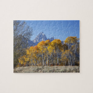 Espenbäume mit der Teton-Gebirgskette Puzzle