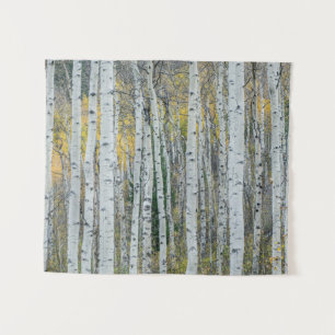 Espenbaumstämme   Aspen, Colorado Wandteppich