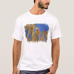Espenwald im Herbst in der San Juan Range von T-Shirt