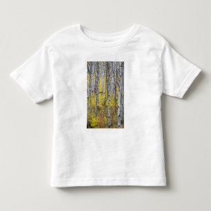 Espenwäldchen in voller Herbstfarbe im Glacier Kleinkind T-shirt