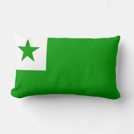 Esperanto-Flagge Lendenkissen