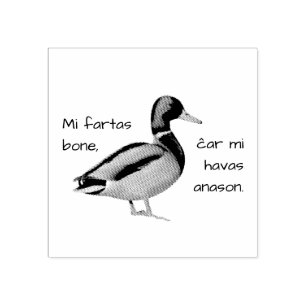 Esperanto: Mir geht es gut, weil ich eine Ente hab Gummistempel