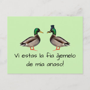 Esperanto: Vi estas ist die ĝ emelo von mia anaso! Postkarte