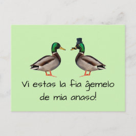 Esperanto: Vi estas ist die ĝ emelo von mia anaso! Postkarte