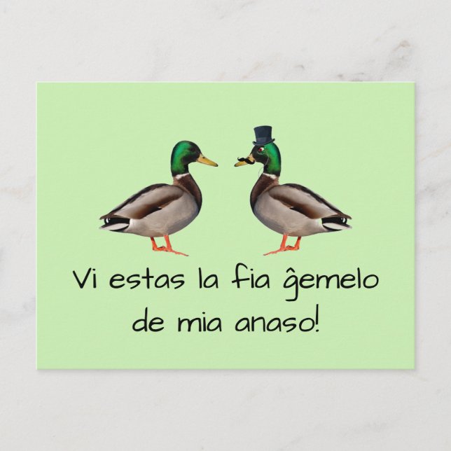 Esperanto: Vi estas ist die ĝ emelo von mia anaso! Postkarte (Vorderseite)