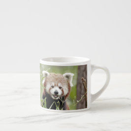 Espresso Becher Foto roter Panda. Espressotasse