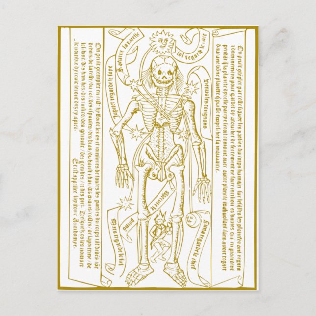 Esqueleto esotérico postkarte (Vorderseite)