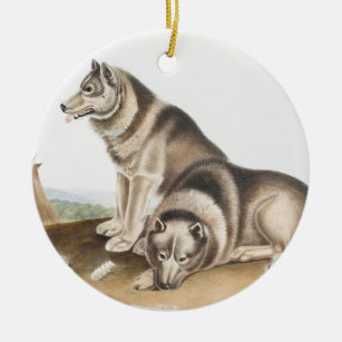 Esquimaux Dog (Canis familiaris) Illustration Keramik Ornament