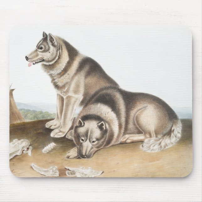 Esquimaux Dog (Canis familiaris) Illustration Mousepad (Vorne)