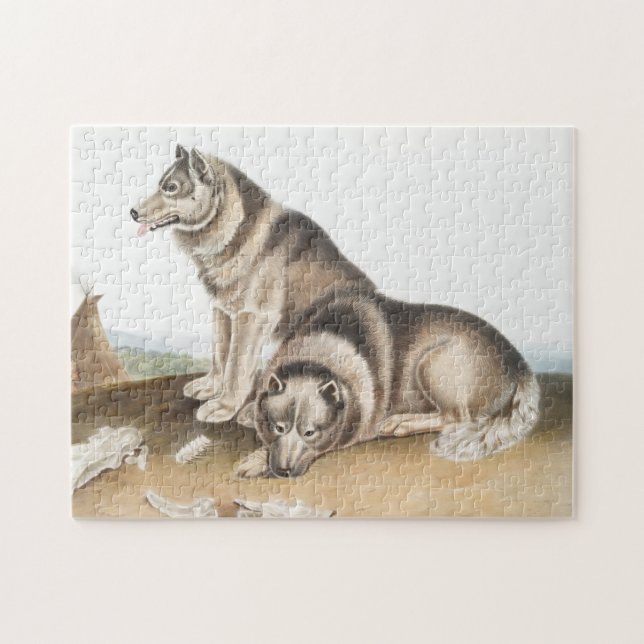 Esquimaux Dog (Canis familiaris) Illustration Puzzle (Horizontal)