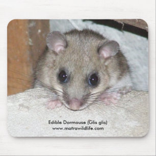 "Essbarer Dormouse" Mousepad