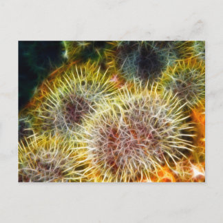 Essbares Meer Urchin Postkarte