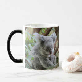 Essen. Schlafen. - Dieser Koala-Bär hatte so einen Verwandlungstasse