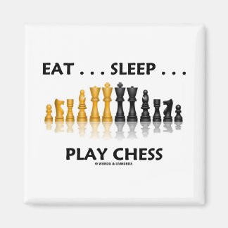 Essen... Schlafen... Schach spielen (Einstellung d Magnet