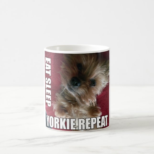 Essen Sie! Schlaf! Yorkie! Wiederholung! :) Kaffeetasse (Mittel)
