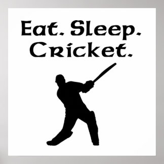 Essen Sie schlafende Cricket Poster