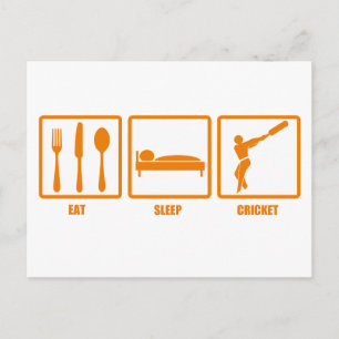 Essen Sie schlafende Cricket Postkarte