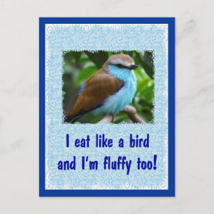Essen Sie wie ein Vogel 2 Postkarte