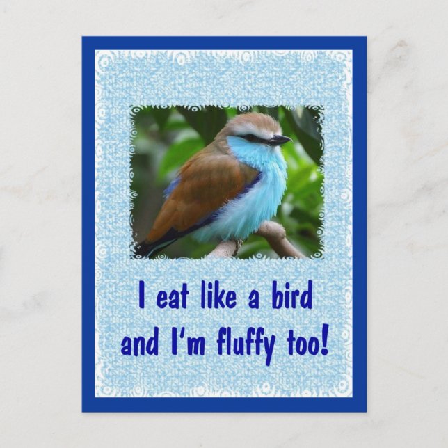 Essen Sie wie ein Vogel 2 Postkarte (Vorderseite)