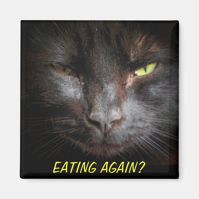 Essen wieder? Diet Cat Meme Kühlschrank Magnet (Vorne)