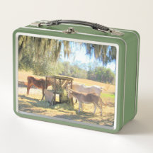 Essenszeit für Pferde und Donkey 