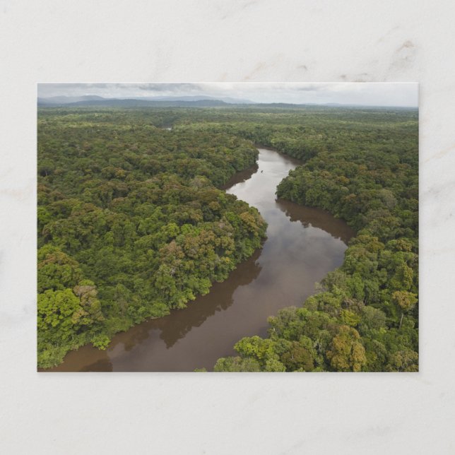 Essequibo-Fluss, längster Fluss in Guyana und 5 Postkarte (Vorderseite)