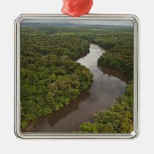 Essequibo-Fluss, längster Fluss in Guyana und 5 Silbernes Ornament