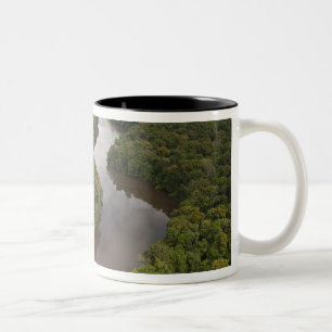Essequibo-Fluss, längster Fluss in Guyana und 5 Zweifarbige Tasse