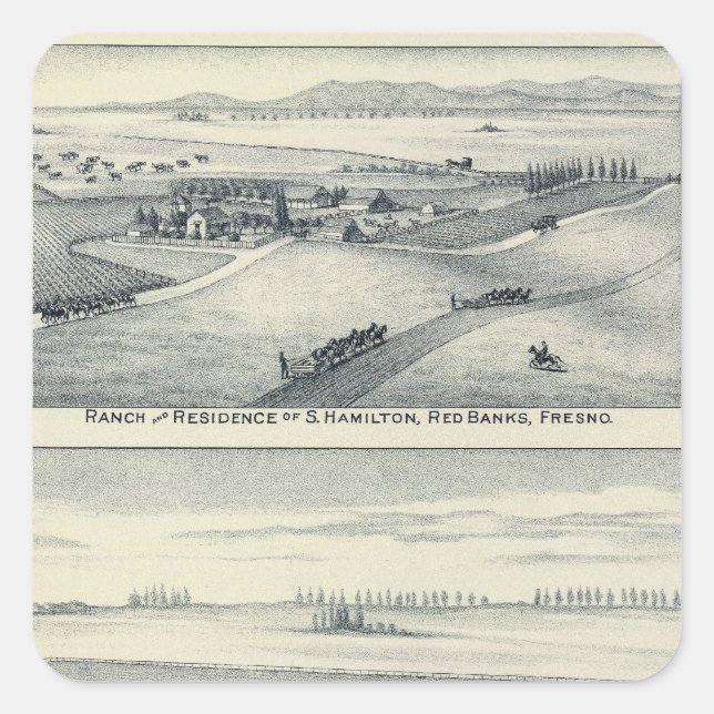 Estella Blanca Vineyard, Kalifornien Quadratischer Aufkleber (Vorderseite)