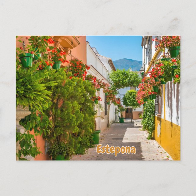  Estepona, Spain Charming Town in Malaga Street  Postkarte (Vorderseite)