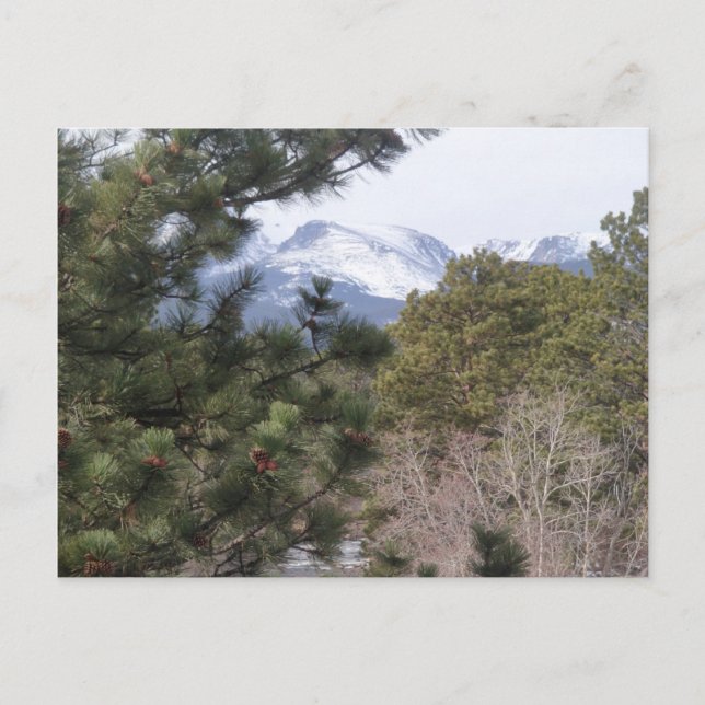 Estes Park, Colorado Postcard Postkarte (Vorderseite)