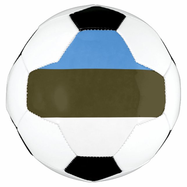 Estland Fußball (Vorderseite)