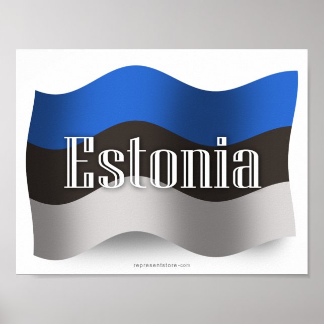Estland Waving Flag Poster (Vorne)