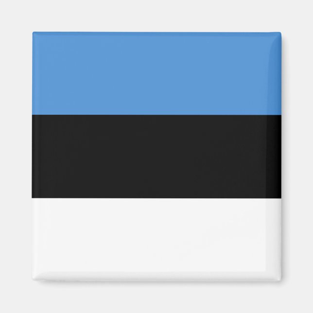 Estnische Flagge Magnet (Vorne)