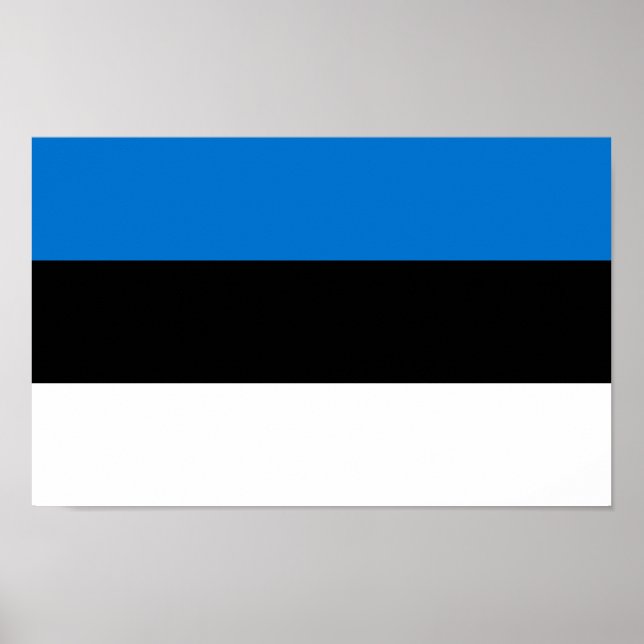 Estnische Flagge Poster (Vorne)