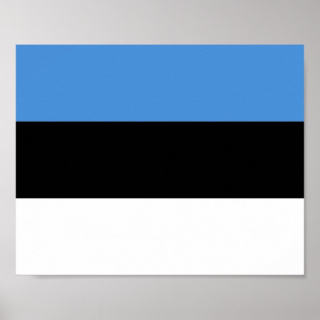 Estnische Flagge Poster (Vorne)