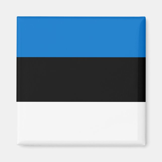 Estnische Nationalflagge Magnet (Vorne)