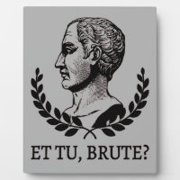 Et Tu, Brute? Shakespeares Julius Cäsar Zitat V
