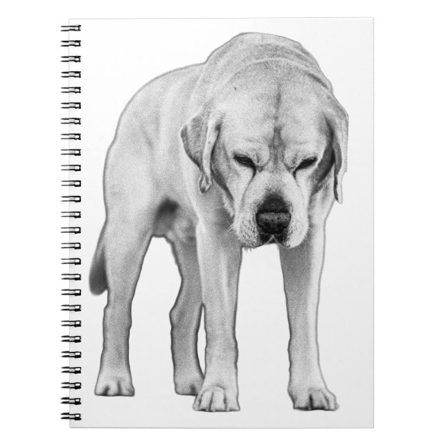 Etched Resolve Notizblock (Vorderseite)