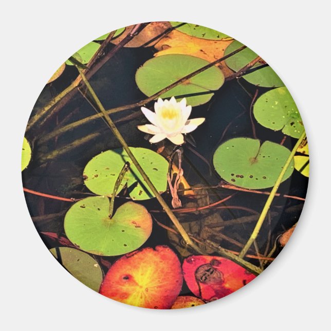 "Ethereal Lily Pad Pond mit Central White Blossom Magnet (Vorne)